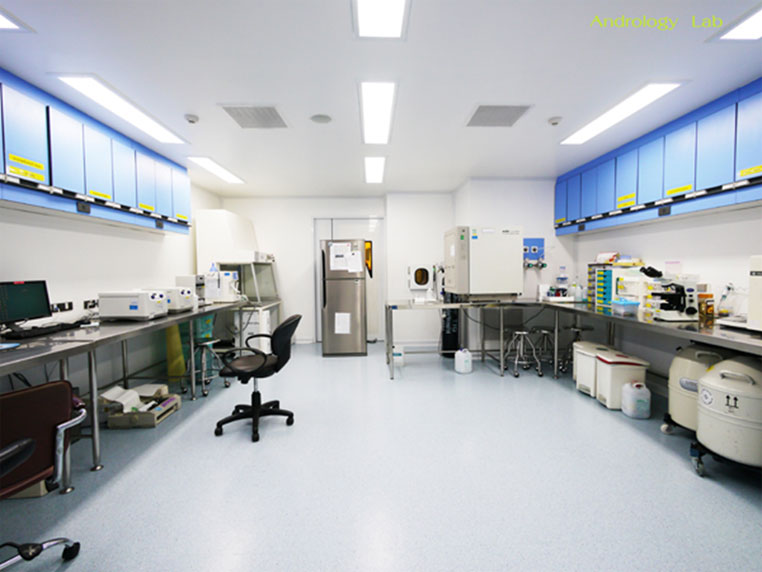 精子检查和处理室,以备用于人工授精或试管婴儿
