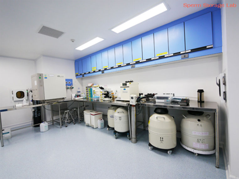 实验室内提GJ子的冷冻，使用液化氮冷冻保存精子